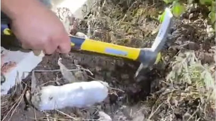 חומר נפץ מתחת לאדמה: אמצעי לחימה אותרו בקבר בצפון