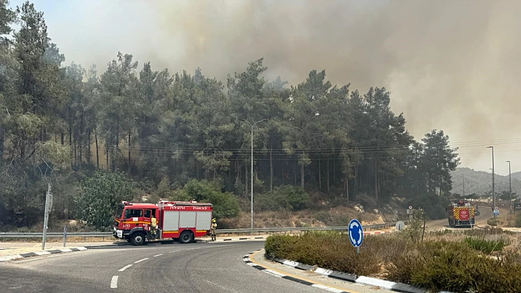 רכב עלה באש סמוך לבית שמש, השריפה התפשטה ליער סמוך