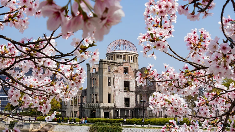 "הכיפה האטומית" (Genbaku Dome) פארק השלום בהירושימה בזמן פריחת הדובדבן ביפן