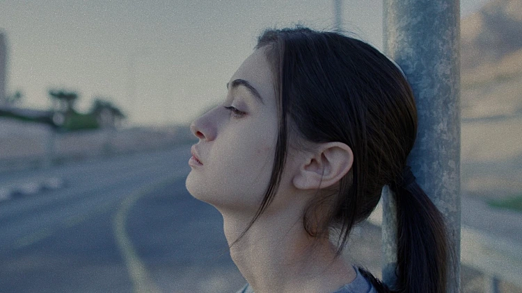 "על כלבים ואנשים"