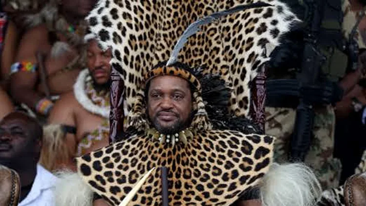 בגלל שנעלב: מלך הזולו הזמין את הפרופסור לקרב מקלות