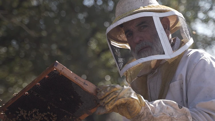 מתוך הסרט "עמלים"
