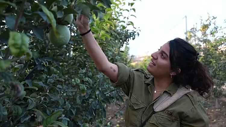 העלייה למנרה: גרעין הנח"ל שהגיע לשקם את הקיבוץ שנעזב במלחמה