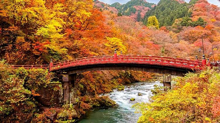 המלצת טיסה: זה היעד המושלם בו תגלו את הקסם של הסתיו