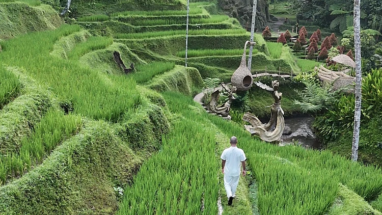 בבאלי מחכים לישראלים: הבלוגר הישראלי ששב מחופשה באי הקסום