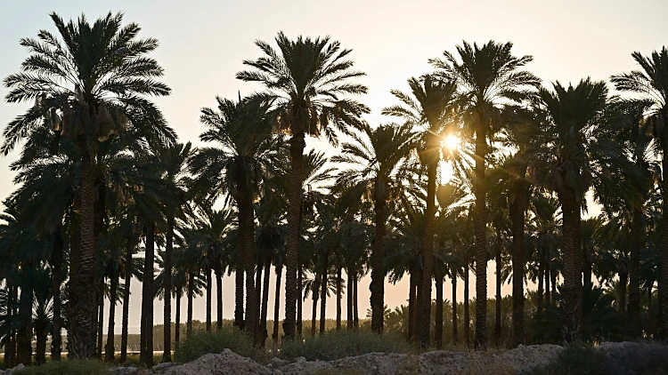 התחזית: מזג אוויר נוח, עלייה קלה בטמפרטורות