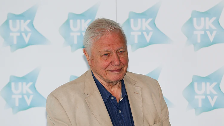 סר דייוויד אטנבורו