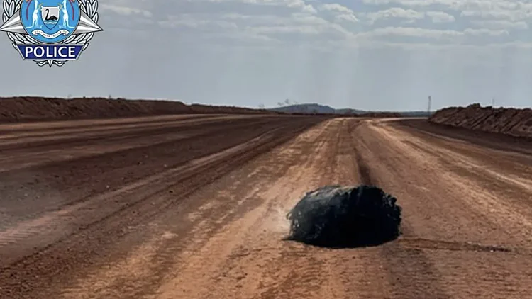 העצם שהתגלה באוסטרליה