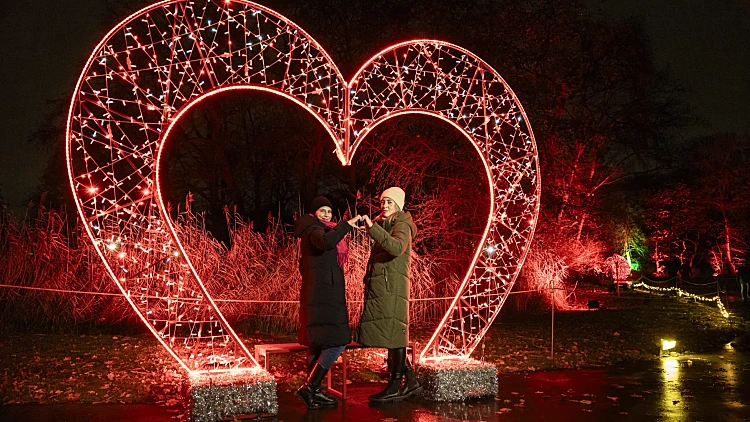 Winter Dreams ll בגן הבוטני בירושלים