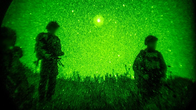 בפשיטה לילית בלבנון: נעצר מחבל בכיר בארגון טרור המזוהה עם חמאס