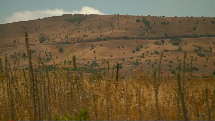 קרב הבכא 2025: המאבק בהקמת תחנה סולארית באתר המיתולוגי