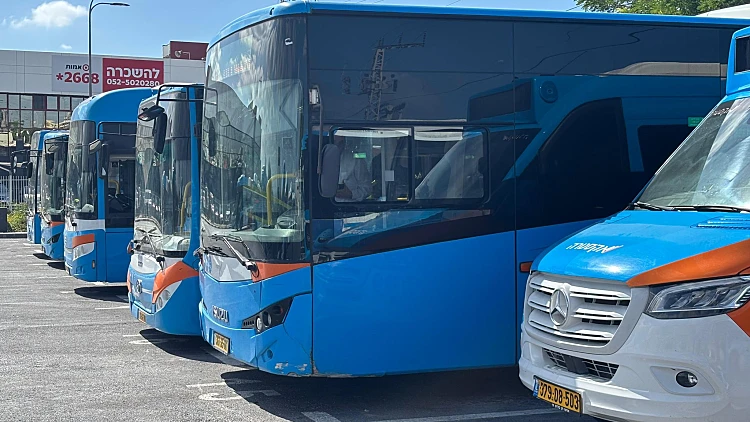אוטובוסים מושבתים בנתניה