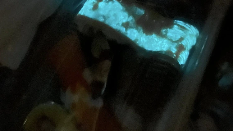 קנתה סושי וגילתה שהוא זוהר בחושך