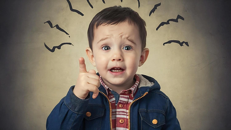 לא כל נפילה מצריכה בהלה – אבל מתי כן? | רשת 13