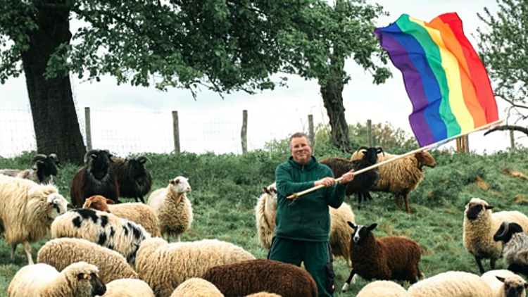 החווה שמוכרת פריטי אופנה שנוצרו מצמר של כבשים הומוסקסואליים