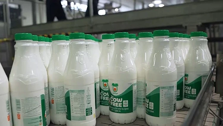 חלב ללא חלב: הטרנד החדש שהגיע למקררים