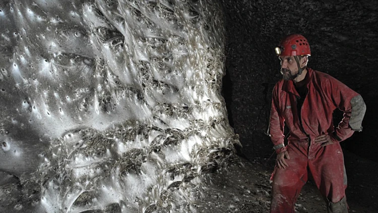 חוקרים מצאו את רשת קורי העכביש הגדולה בעולם