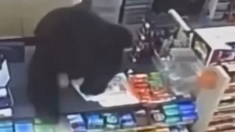 דוב שחור רדף אחרי ילד בן 11