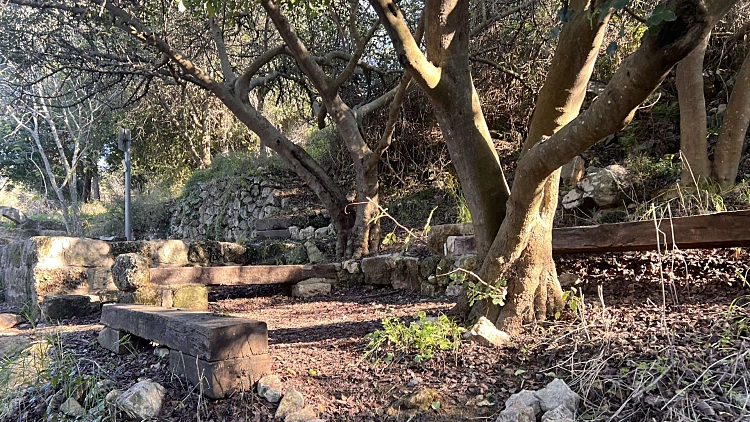 מסלול מקסים ועגלת קפה: המלצה ליום טיול סתווי במרכז הארץ