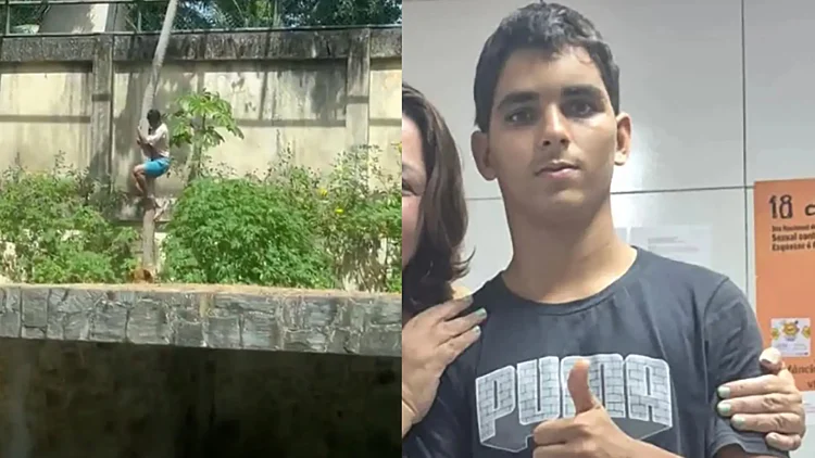 מזעזע: בן 19 חדר לכלוב האריות ונטרף לעיני המבקרים