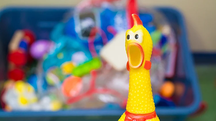 הטריד את שכנתו באמצעות תרנגולת גומי מצפצפת במשך 10 שנים