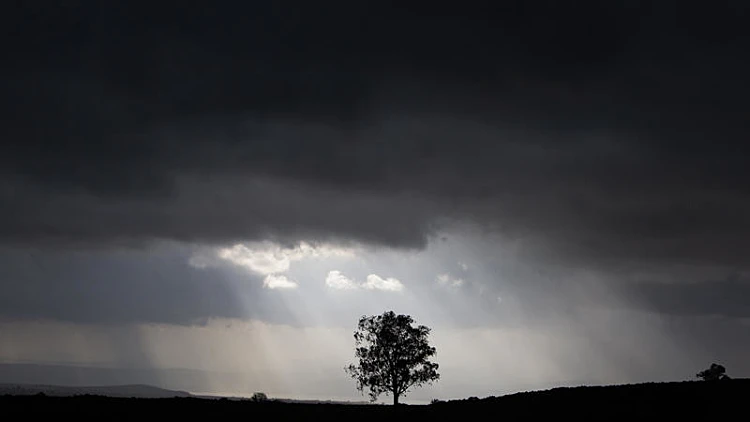 התחזית לשבת: גשם בצפון ובמזרח, חשש משיטפונות