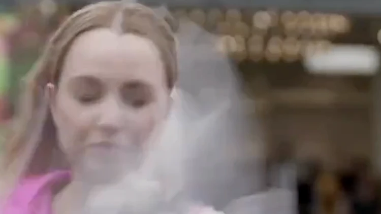 לעיניי המצלמה: שחף התרסק על פניה של הכתבת