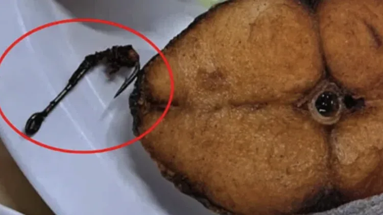 הדג שהזמינה במסעדה