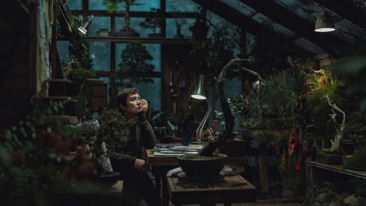 "אין ברירה אחרת"