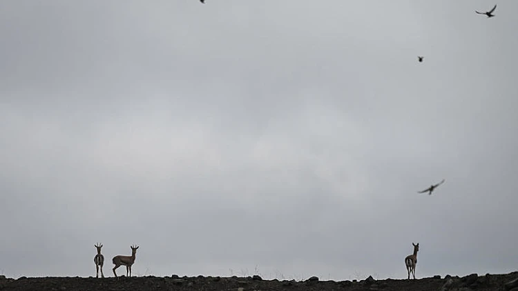 התחזית לסופ"ש: מעונן חלקית ונוח, עדיין קר מהרגיל בלילות