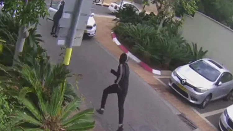 יצא לטיול בגינה עם כלבותיו - והותקף בסכינים: "עברתי פיגוע"