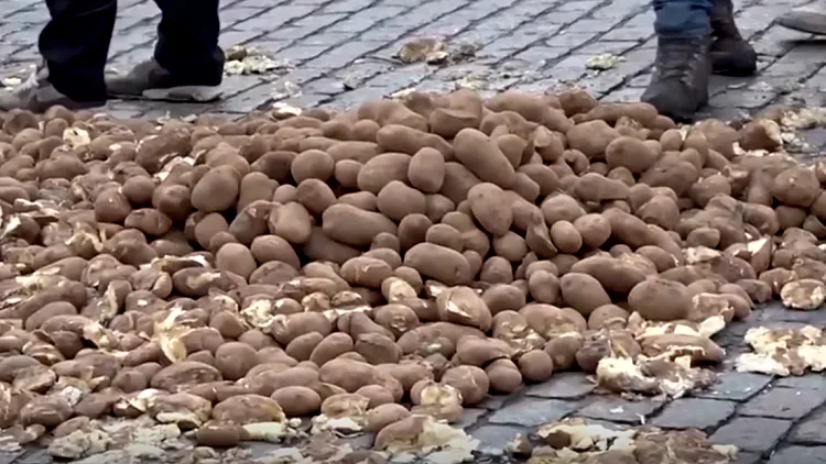 מחאת החקלאים בבלגיה: מאות תפוחי אדמה פוזרו ברחובות