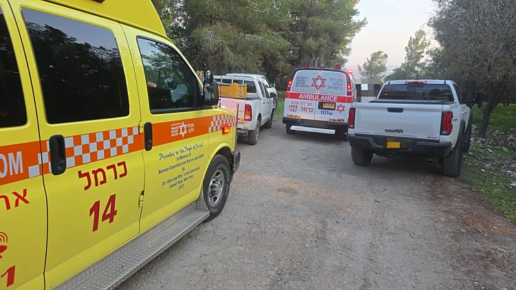 חשד לרצח כפול בצפון: שני גברים נורו למוות בשטח פתוח