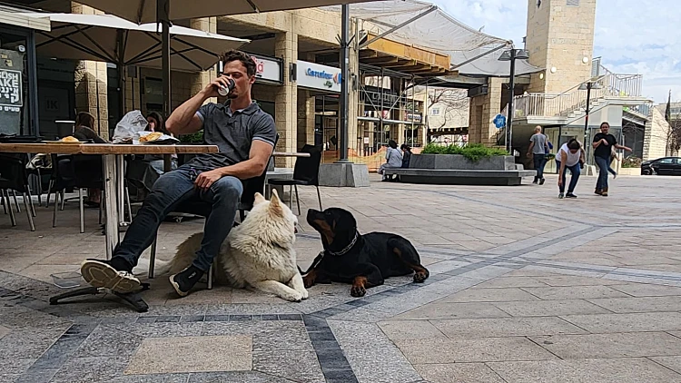 ביקור בבית קפה עם קאידו ואייס
