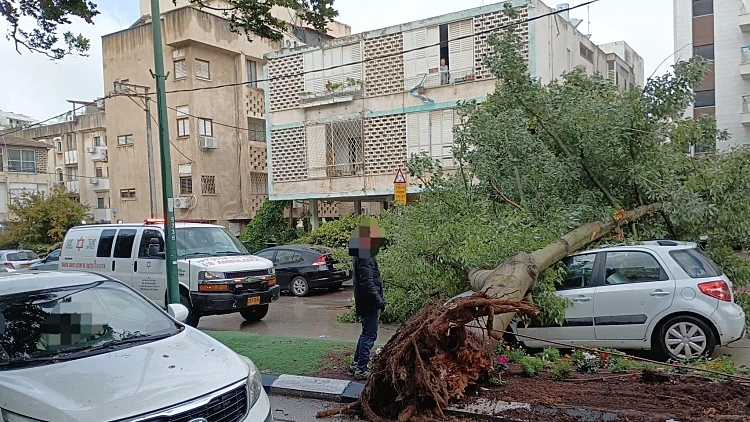 גשמים עזים וחשש לשטפונות: מזג אוויר סוער ברחבי הארץ | התחזית