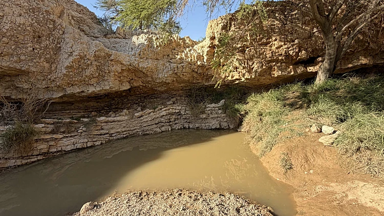 הרגע שחיכיתם לו: רשימת הגבים במדבר שמלאים כעת במים