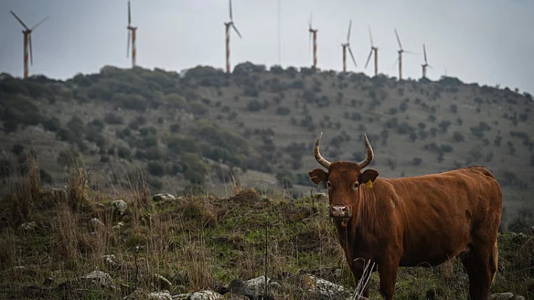 התחזית: ירידה בטמפרטורות, גשם לסירוגין בצפון
