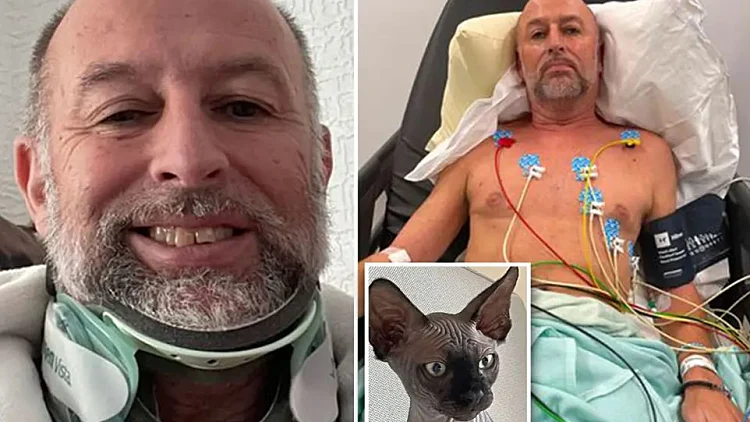 החתול הרצחני ובעליו