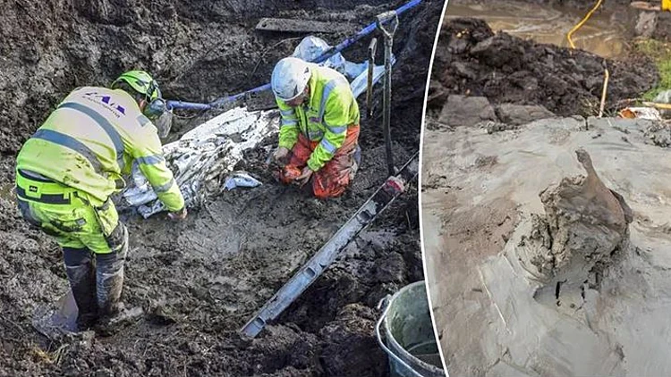 ארכיאולוגיה