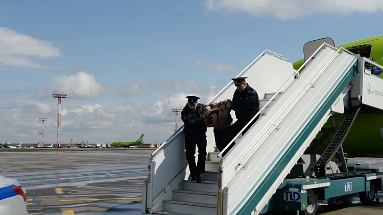 הוויכוח שיצא משליטה רגע לפני הטיסה - והתיעוד ששבר את הרשת