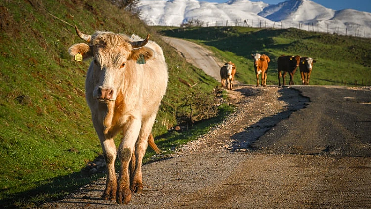 התחזית לשבת: עלייה קלה בטמפרטורות, מזג אוויר נאה ונוח