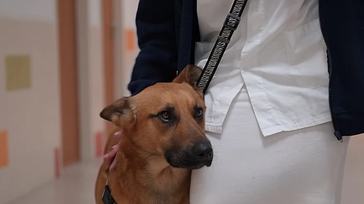 "היא באופן יזום קמה אליו, ליטפה אותו והתחילה לדמוע"