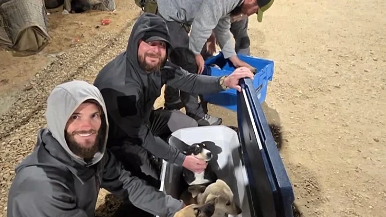 תנו לחיות לחיות בארה"ב: החיילים האמריקנים שאימצו כלבים מהעוטף