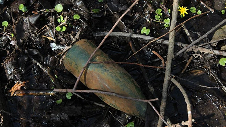 בקבוק ישן נמצא בטבע