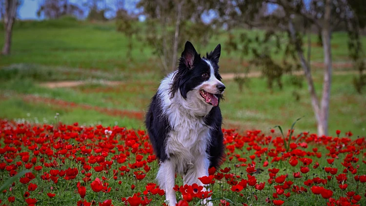התחזית: נאה וחמים, ייתכנו גשמים מקומיים בצפון ובמרכז