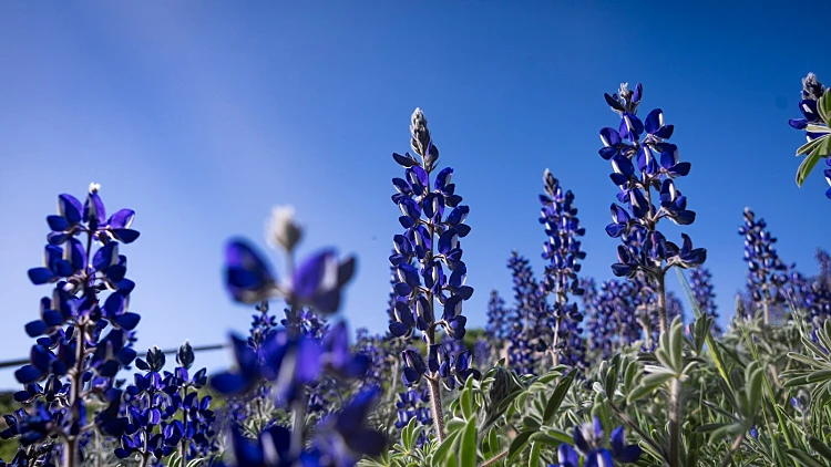 התחזית לסופ"ש: התחממות ניכרת, ייתכנו גשמים מקומיים