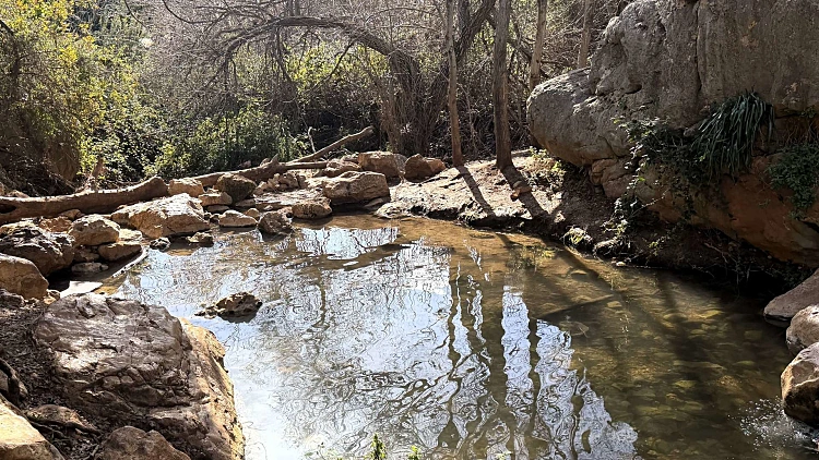 נחל זורם, תרבות ליקוט וקולינריה: 3 סיבות להגיע כעת לצפון