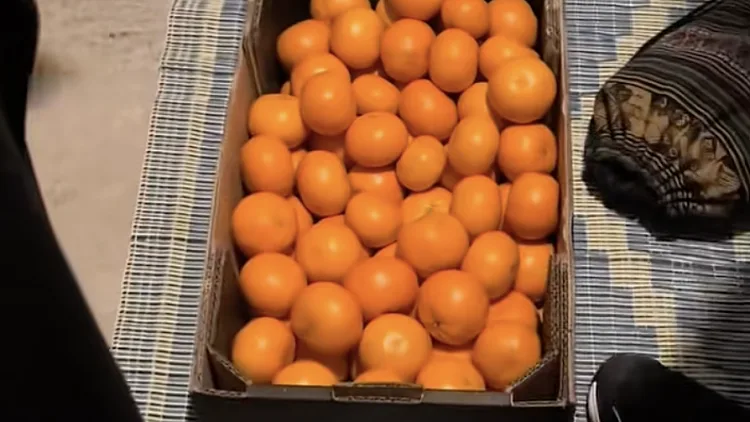 איתי בן שמחון, מקלט