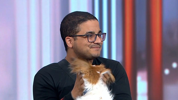 "גם באזורים מסוכנים ובשטחי לחימה": המתנדב שמציל בעלי חיים