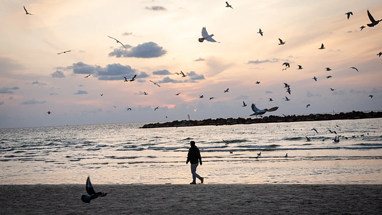 התחזית לסופ"ש: התחממות נוספת, אובך וגשם - השרב יישבר רק מחר